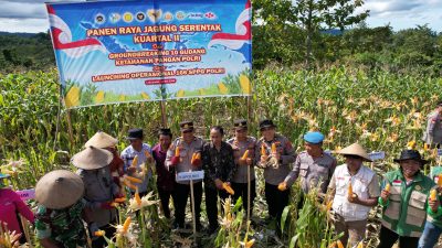 Pemda dan Polres Buton Gelar Panen Raya Jagung Serentak Kuartal II Tahun 2026, Perkuat Ketahanan Pangan